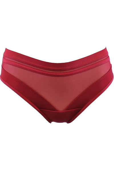 Sheer Stripe Bikini Brief Deep Burgundy