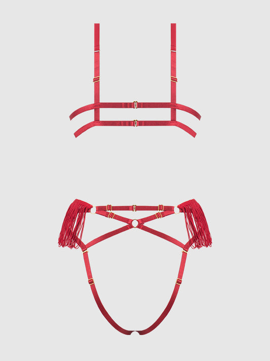 House of Desire Phoenix Faux Leather & Fringe Crotchless Teddy Crimson Red