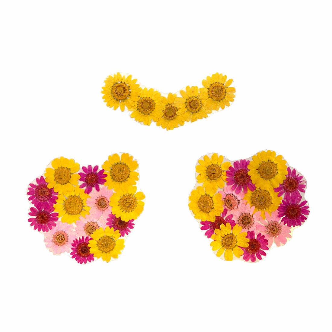 Neva Nude Indio Empress Real Dried Pressed Flower Pasties - Yellow