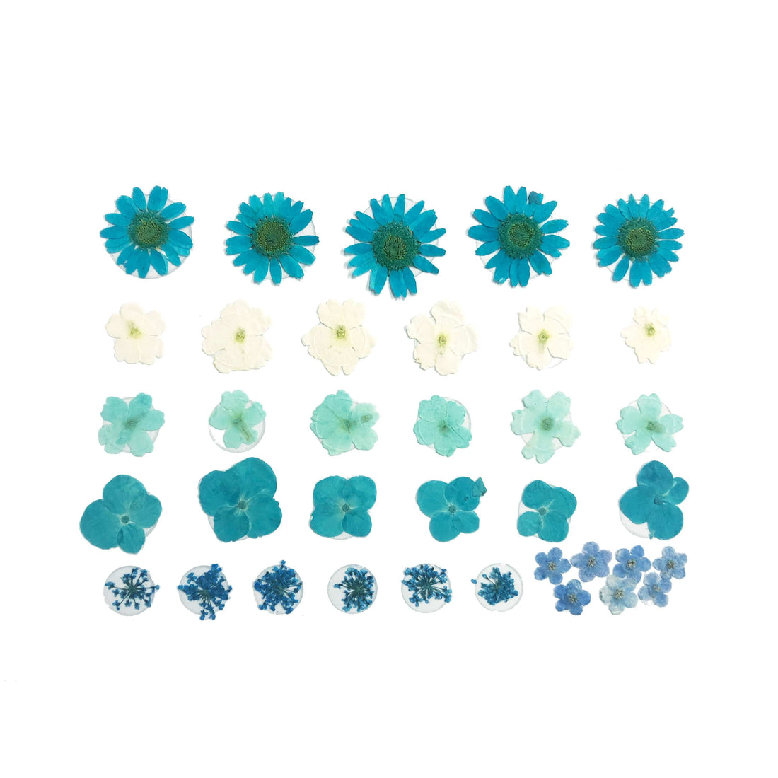 Neva Nude Spring Fling Real Dried Pressed Flower Body Stickers - Blue