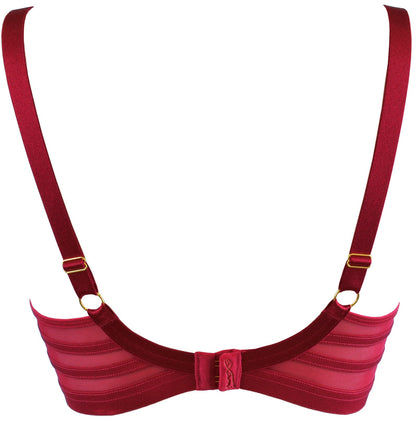 Axami 12021 Sheer Stripe Unlined Bra Deep Burgundy