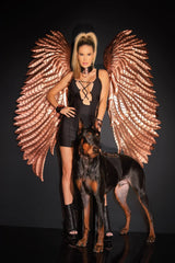Coquette Queen Total Eclipse Dress Black