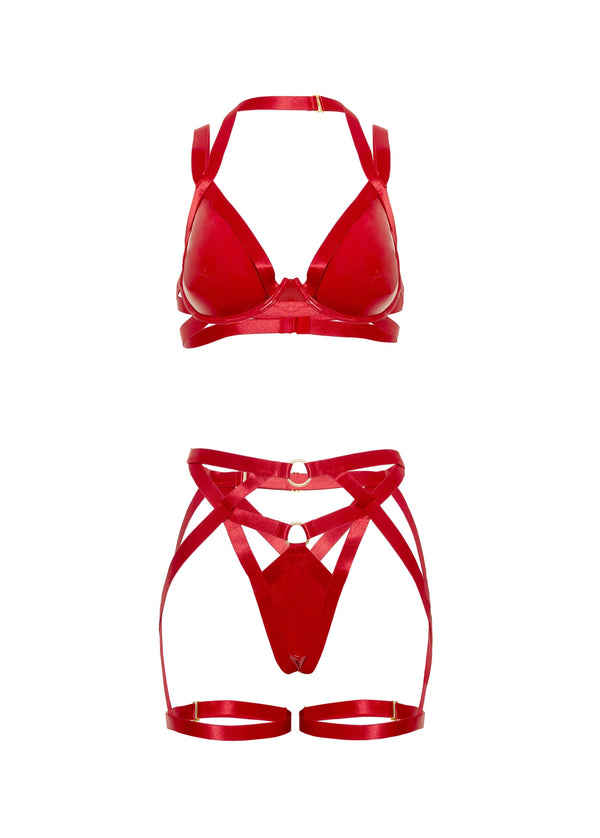 Lover Gartered Plunge Bra Set