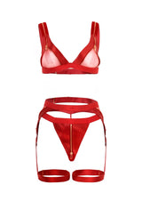 Exposed Zippered Gartered Bra Set