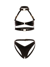 Feisty Buckle Bra Set