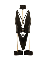 Harness Haven Teddy