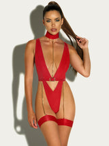 Harness Haven Teddy