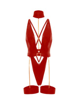 Harness Haven Teddy