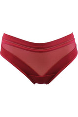 Sheer Stripe Bikini Brief Deep Burgundy