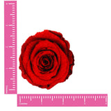Neva Nude Freaking Awesome Roses Are Red Pasties - Red