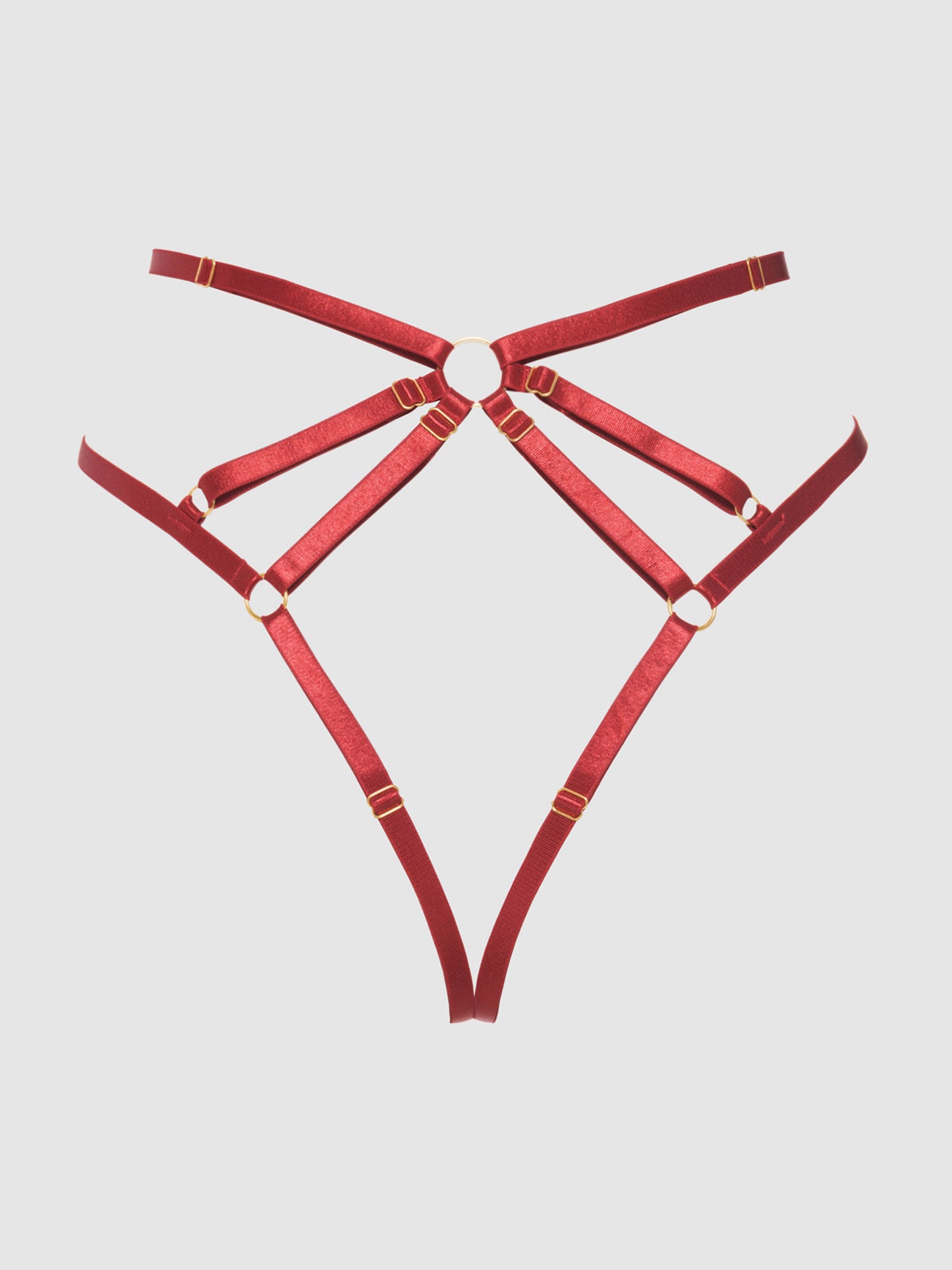 House of Desire Rosalie Embroidered Lace Strappy Backless Tanga Panty Crimson Red Rose