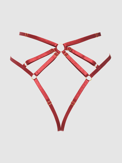 House of Desire Rosalie Embroidered Lace Strappy Backless Tanga Panty Crimson Red Rose