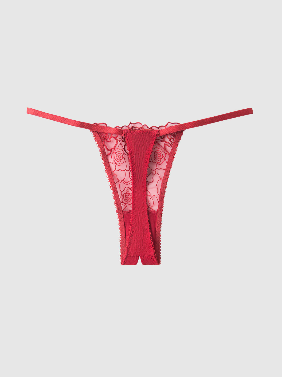 House of Desire Rosalie Embroidered Lace & Mesh Crotchless Thong Crimson Red Roses