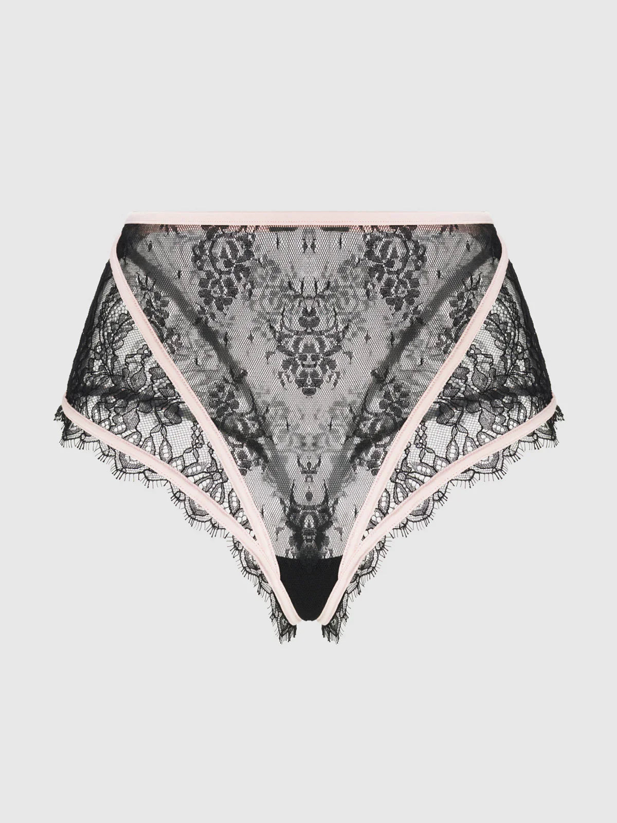 House of Desire Jocelyn Eyelash Lace & Satin High Waist Cheeky