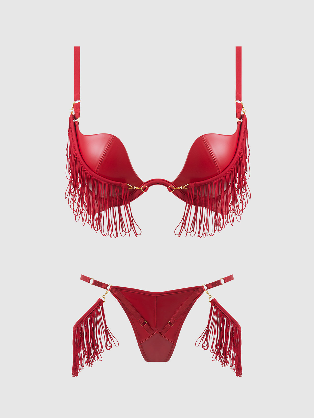 House of Desire Phoenix Faux Leather & Fringe Push Up Bra & Thong Set