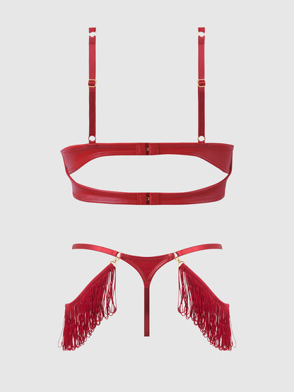 House of Desire Phoenix Faux Leather & Fringe Push Up Bra & Thong Set Crimson Red
