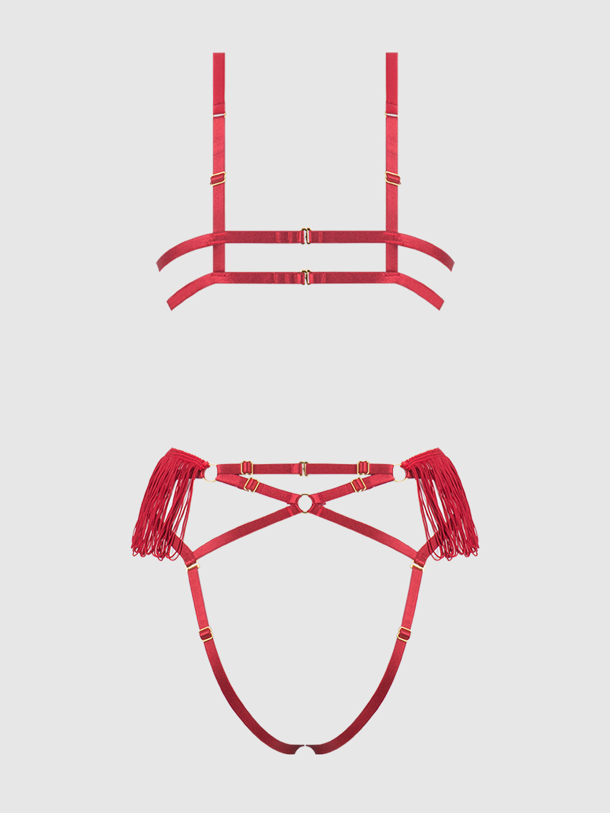 House of Desire Phoenix Faux Leather & Fringe Crotchless Teddy Crimson Red