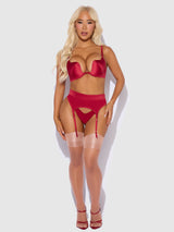 House of Desire Queen Brigeta Satin Deep Plunge Push Up Bra, Garter & Thong Set Crimson Red