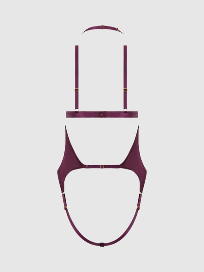 House of Desire Yasmine Shine Mesh Open Cup Backless Teddy & Bra Set Plum