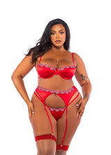 Roma Confidential Queen Plus Peppermint Kiss Embroidery Candy Satin Garter Bra Set Red
