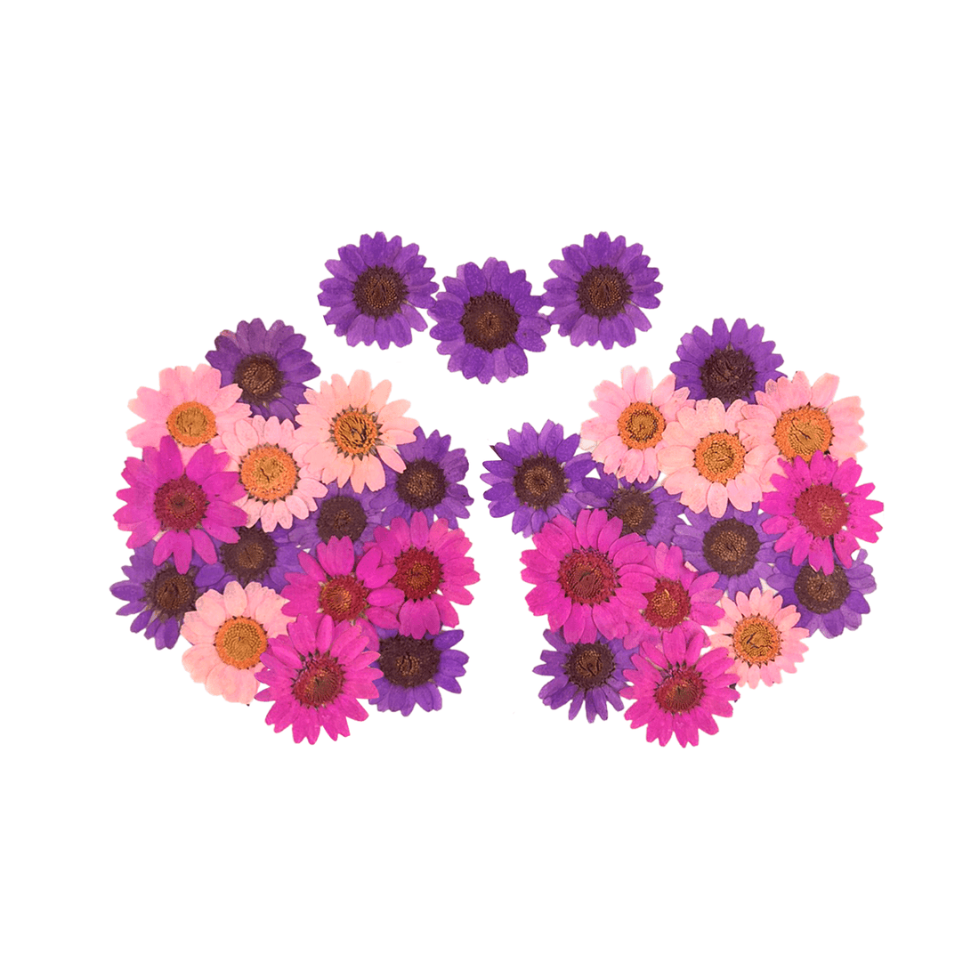 Neva Nude Garden Goddess Real Dried Pressed Flower Pasties - Pink
