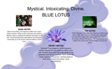 Kama Sutra Sex Magnet Gift Set - Blue Lotus