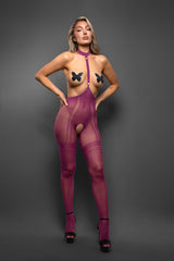 Fantasy Lingerie Sheer Bad Habit Harness Stockings & Pasties Set