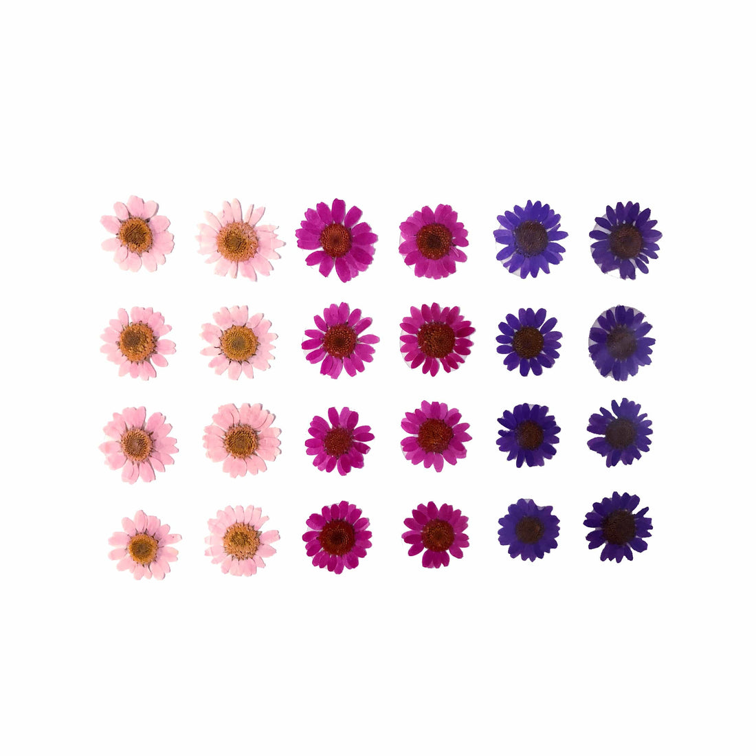 Neva Nude Garden Goddess Real Dried Pressed Flower Face & Body Stickers - Multicolor