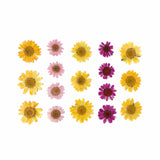 Neva Nude Indio Empress Real Dried Pressed Flower Face & Body Stickers - Yellow