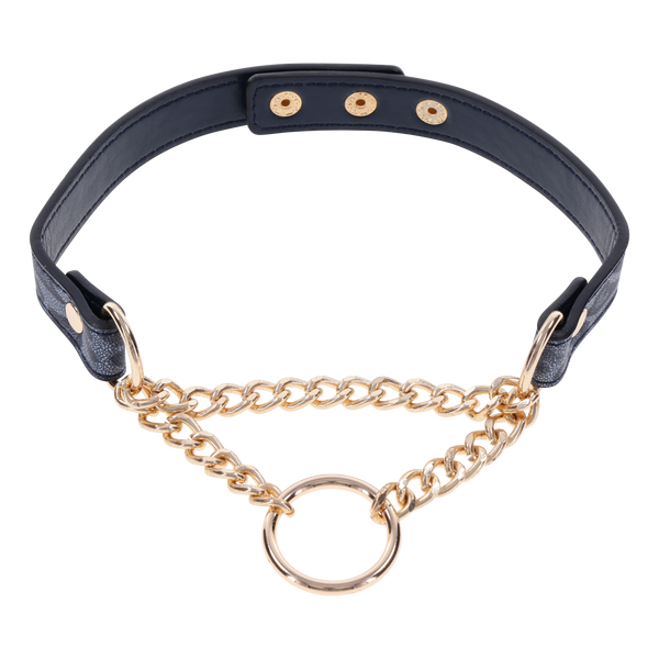 Cougar Day Collar