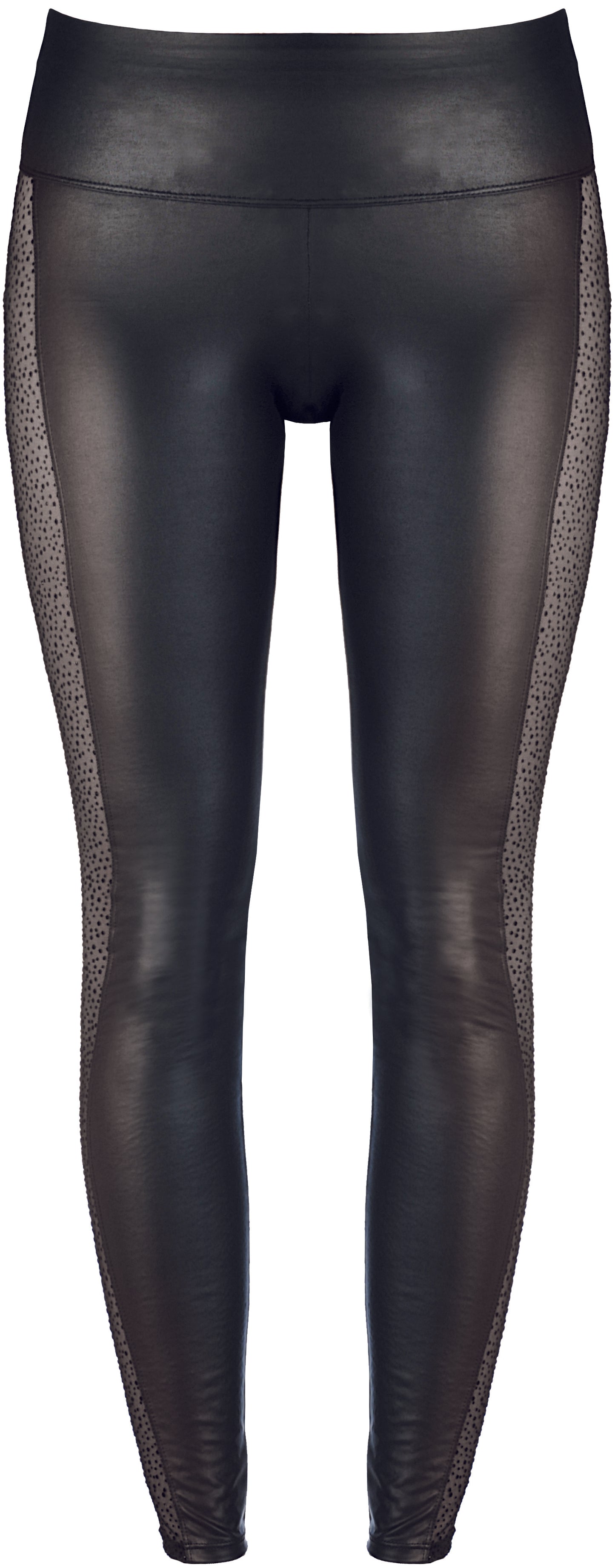 Axami 9226 Seductive Fancy Animal Sheer Sides Leggings Black