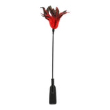 Sex & Mischief Feather Slapper - Red/Black Feathers