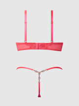 Eden Embroidered Lace Satin Cups Bra & G-String Set