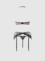 House of Desire Queen Felicia Leopard Mesh & Lace Bra, Garter & G-String Set