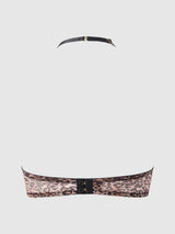 House of Desire Queen Felicia Leopard Mesh & Lace Bra, Garter & G-String Set