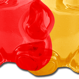 Pastease Gummy Bears - Multi-Color