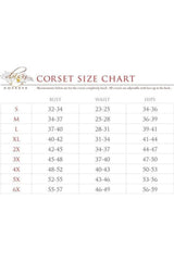Lavish 4 PC Clear Red Sexy Devil Corset Costume - Daisy Corsets