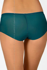 Axami Olive Embroidery Mesh Briefs: seductive glossy green lace and delicate tulle, classic styling.