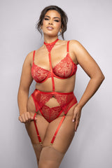 Fantasy Lingerie Radiance Ruby Shimmer Lace and Mesh Garter Bra Set