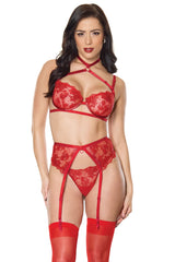 Coquette Sheer Embroidery Mesh Metallic Wet Look Bra Set Red