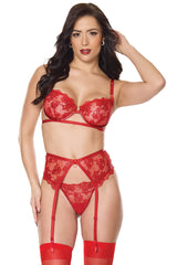Coquette Sheer Embroidery Mesh Metallic Wet Look Bra Set Red