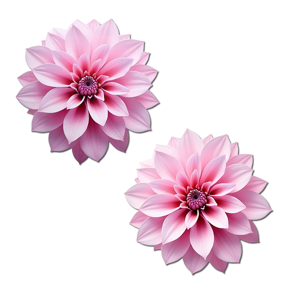 Pastease Tropical Dahlia Botanical Flower - Pink