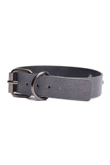 Coquette Gunmetal Removable Chain Leash Collar