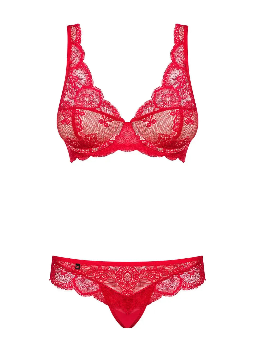 Fabulous red lace plunge bra and matching thong set, perfect for a spicy, elegant night.