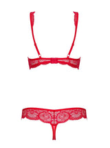 Fabulous red lace plunge bra and matching thong set, perfect for a spicy, elegant night.