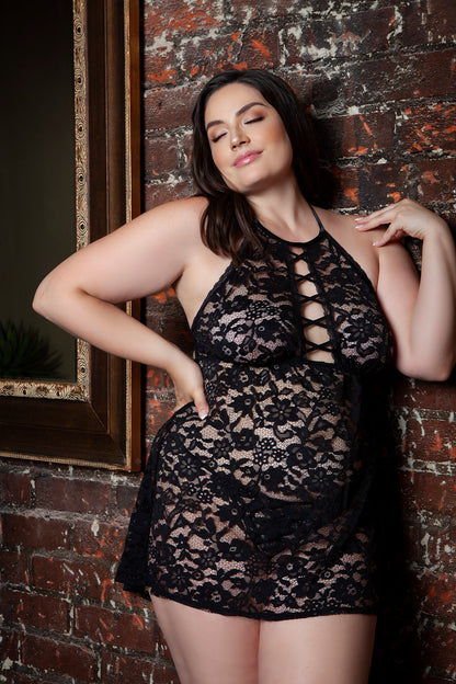 BeWicked Plus Size Halter Lace Rue Babydoll Black