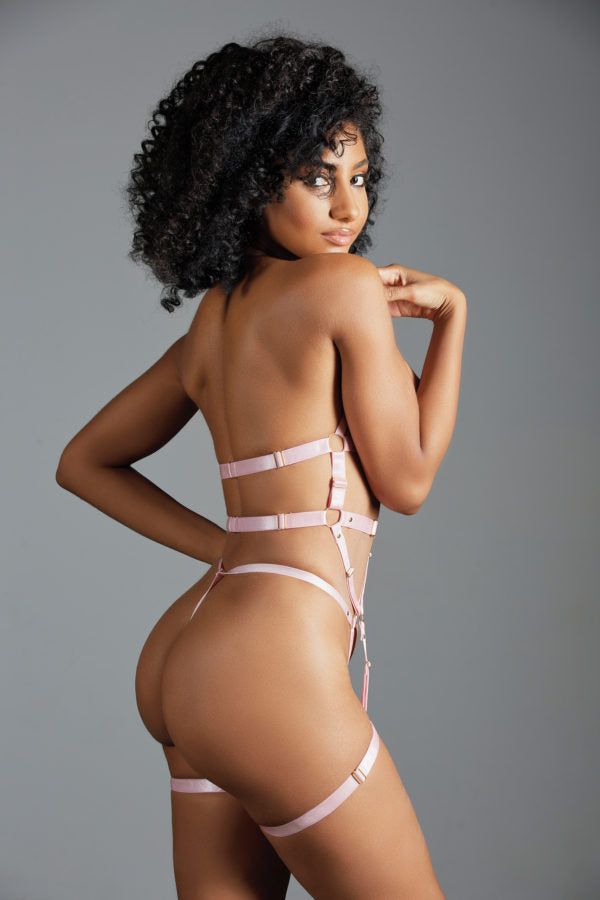 Allure Lingerie Adore Claire Harness Bustier w/Leg Bands, G-String Pink