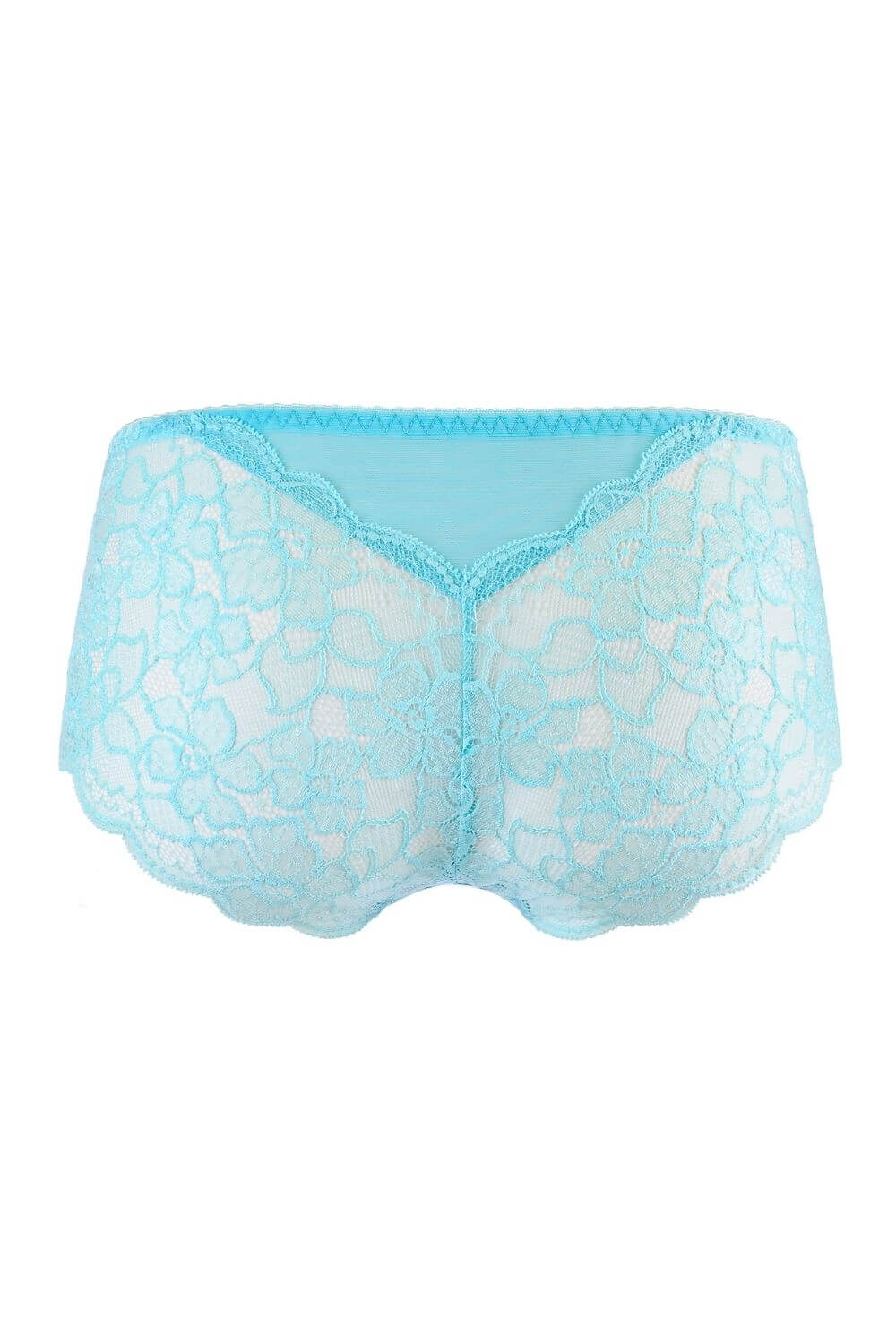 Axami 10133 Sheer Brief Panty Passion Wave