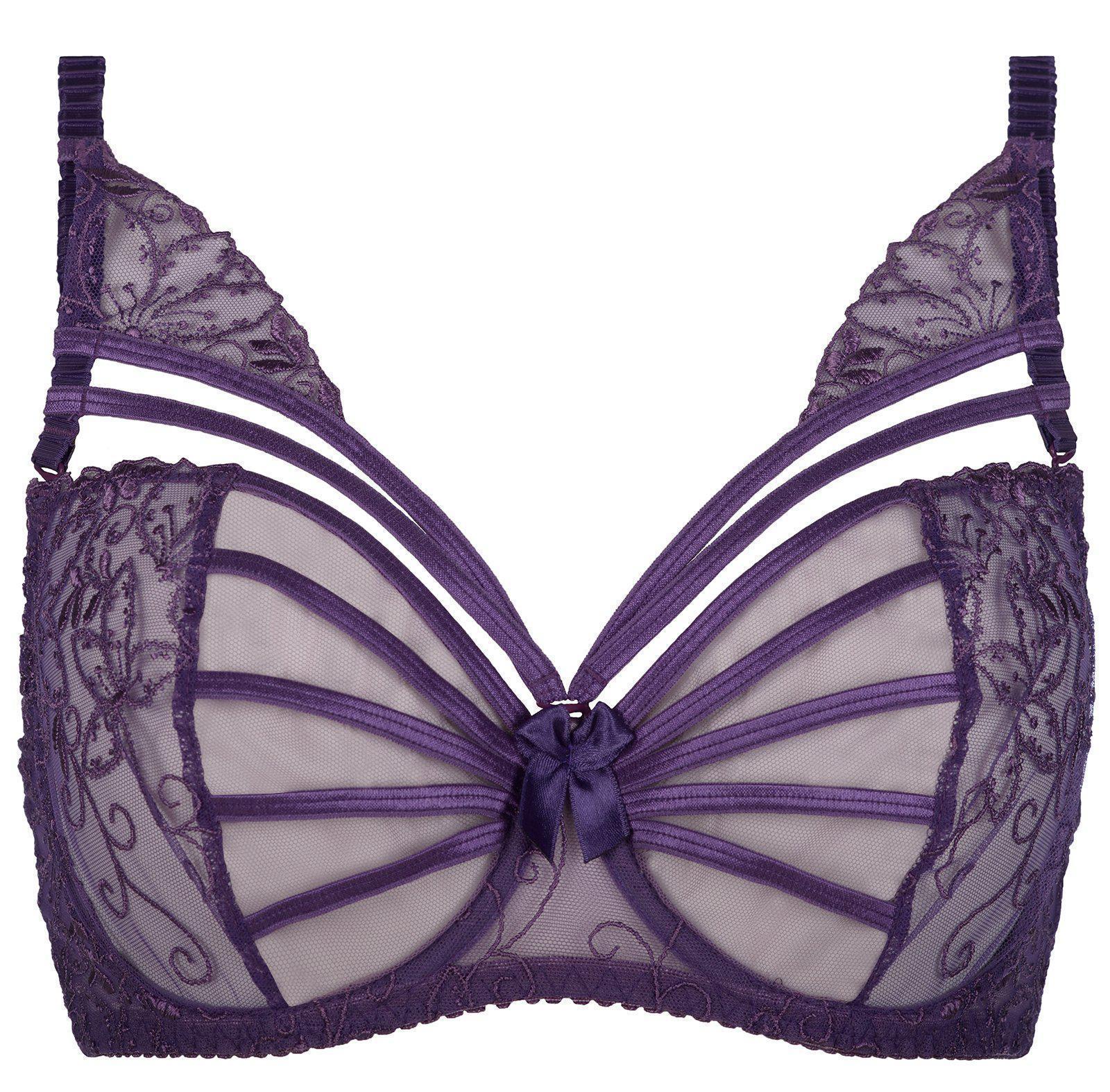 Axami 8071 Sheer Embroidery Bra